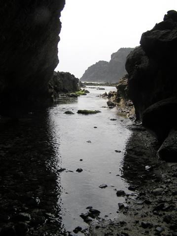The way out to the sea
